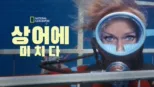 thumbnail - 상어에 미치다