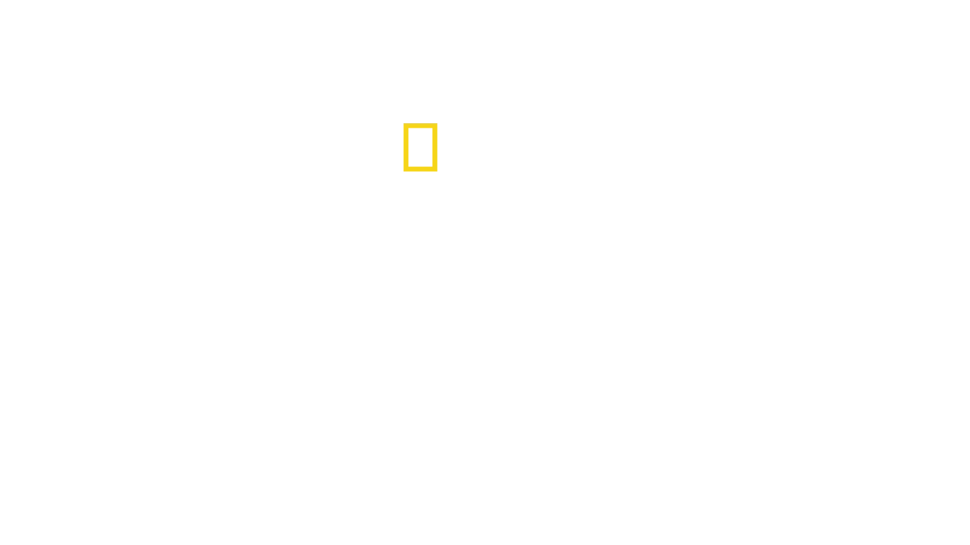 アニマル・ダイアリー 動物たちの成長記録