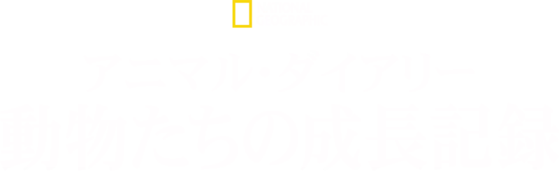 アニマル・ダイアリー 動物たちの成長記録