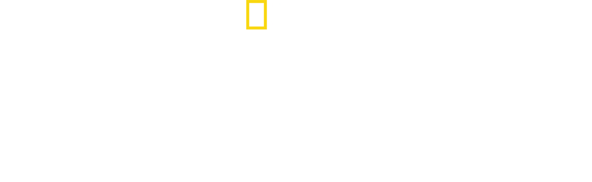 アニマル・ダイアリー 動物たちの成長記録