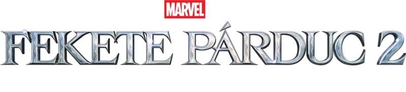 Fekete Párduc 2. - A film zenéje