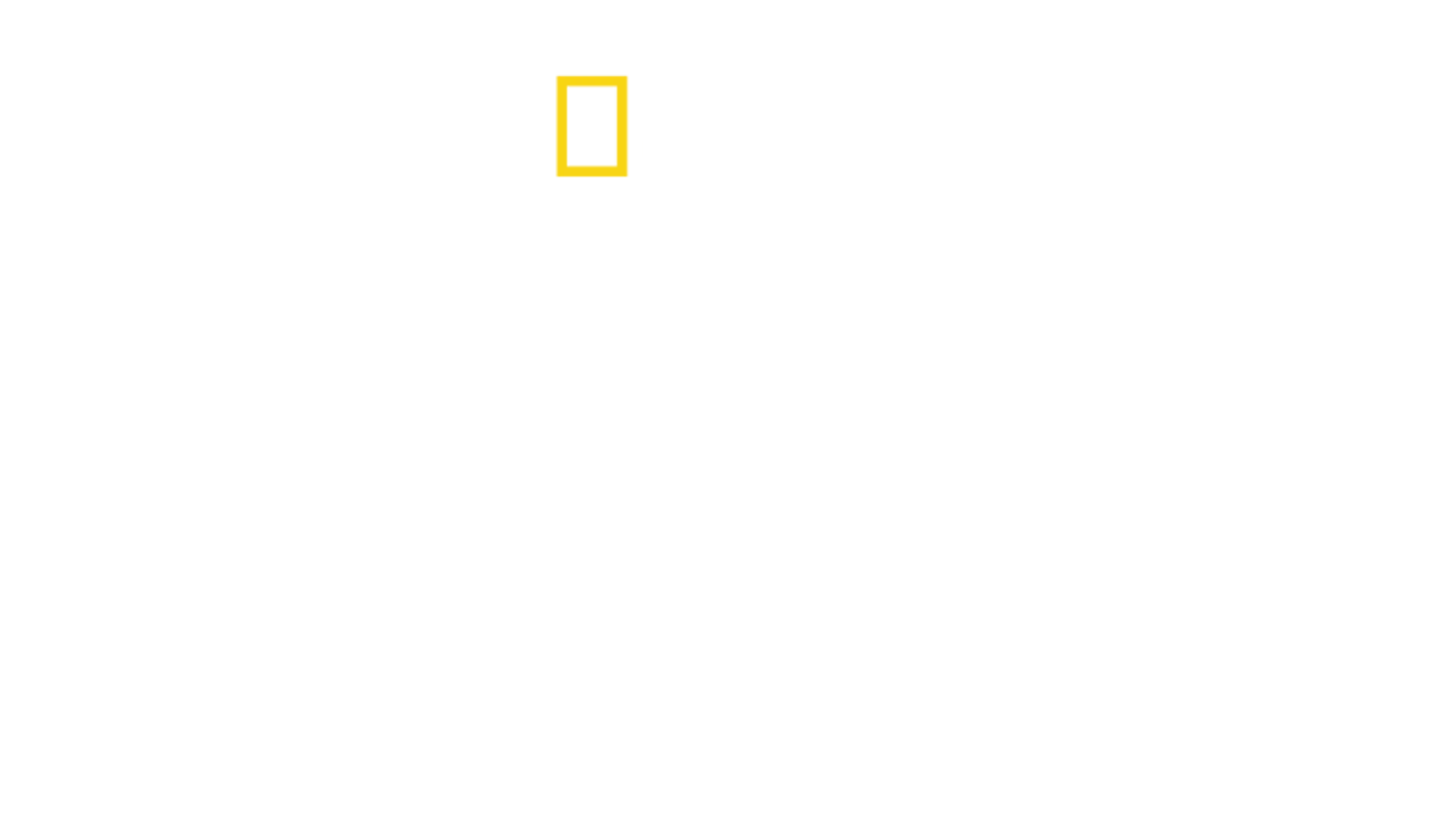 Aeroporto: Estados Unidos