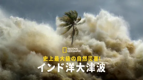 thumbnail - 史上最大級の自然災害！インド洋大津波
