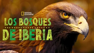 thumbnail - Los bosques de Iberia
