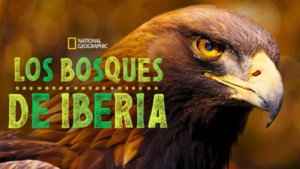 thumbnail - Los bosques de Iberia