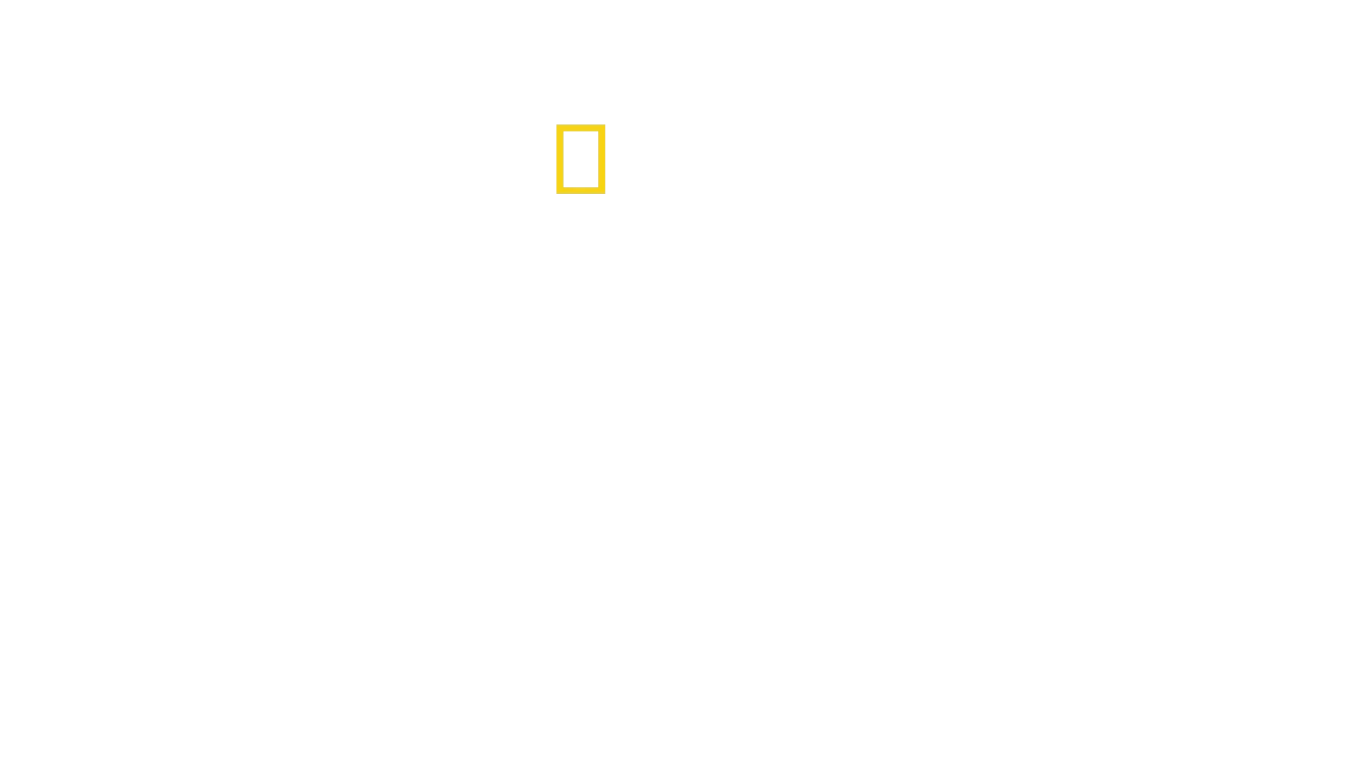 Tutkimusretki Amazonille