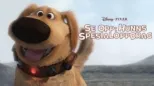 thumbnail - Se opp: Hunns spesialoppdrag