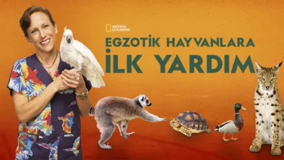 Egzotik Hayvanlara İlk Yardım