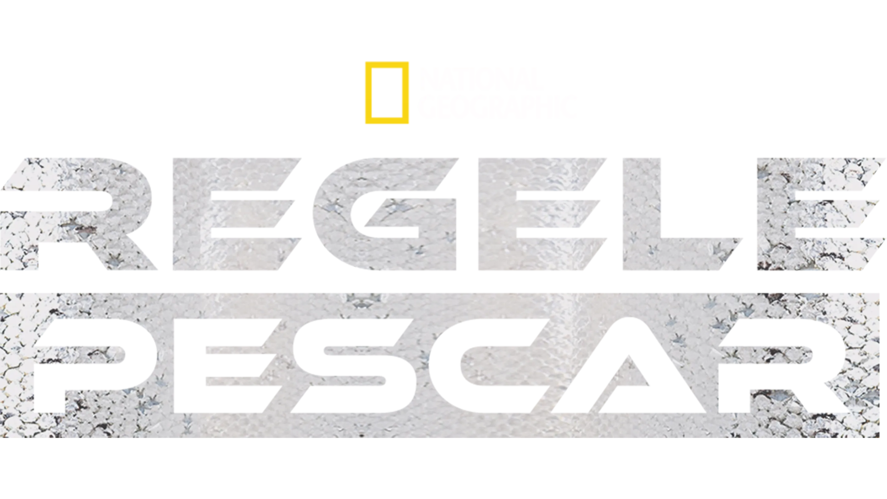 Regele pescar