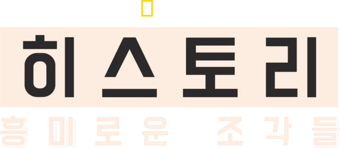 히스토리: 흥미로운 조각들