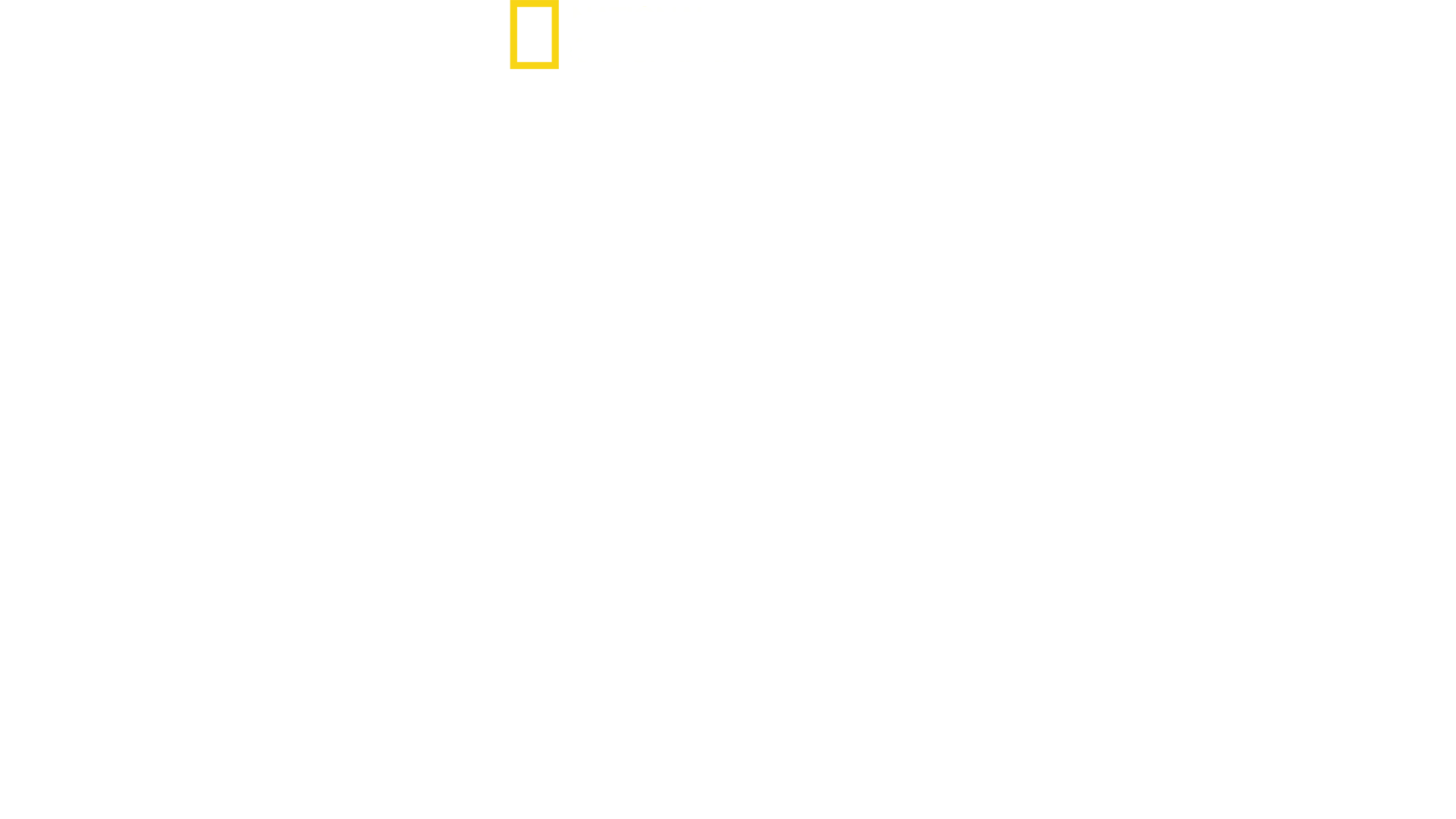 Hitler: il conflitto finale
