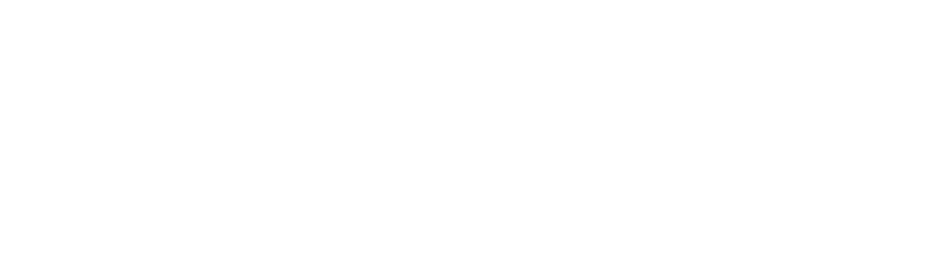 Der Lotse