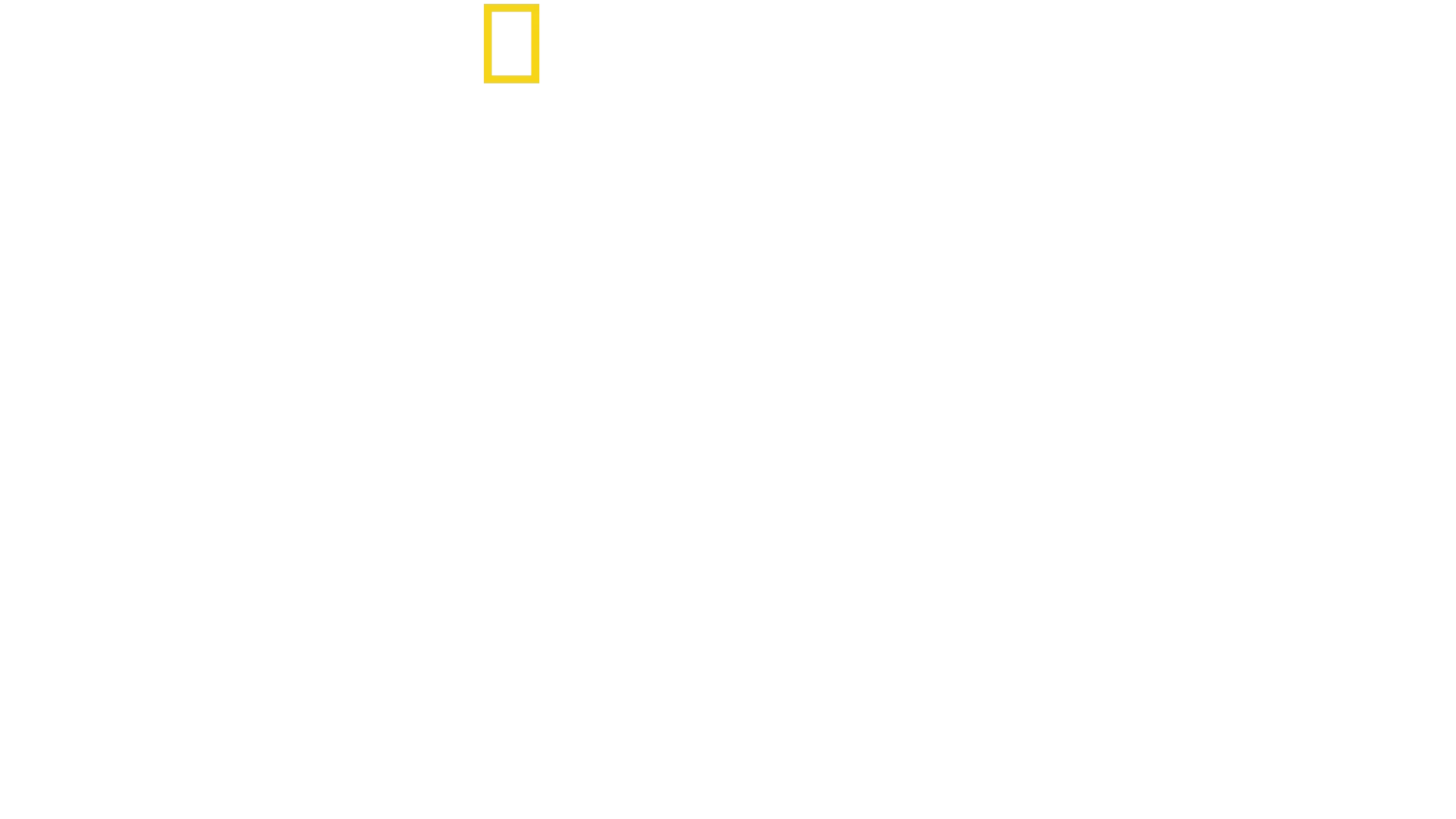 The Stanford Prison Experiment: Unlocking the Truth