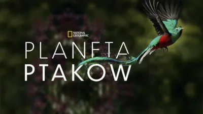 Planeta ptaków