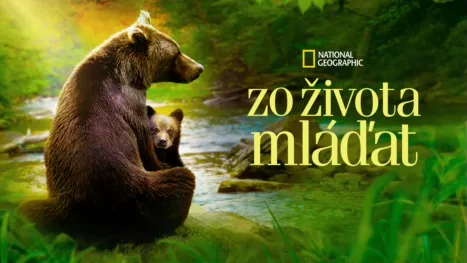 thumbnail - Zo života mláďat