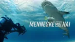thumbnail - Menneske mot hai