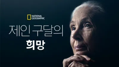 제인 구달의 희망