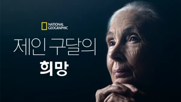 thumbnail - 제인 구달의 희망