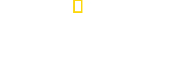 Hitler, narkomaani