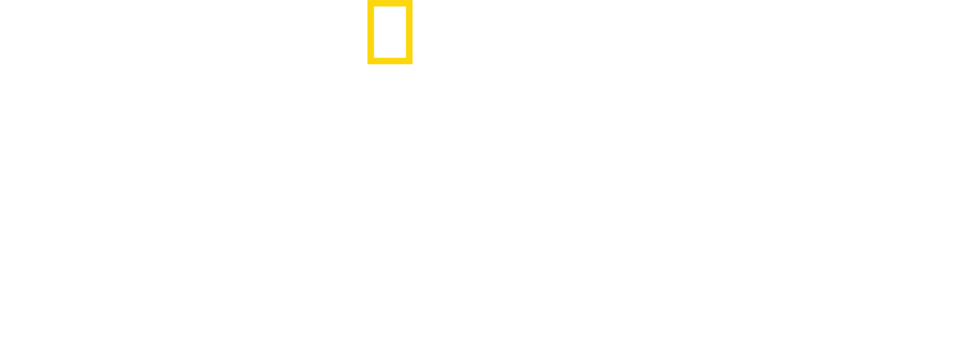 Hitler, narkomaani
