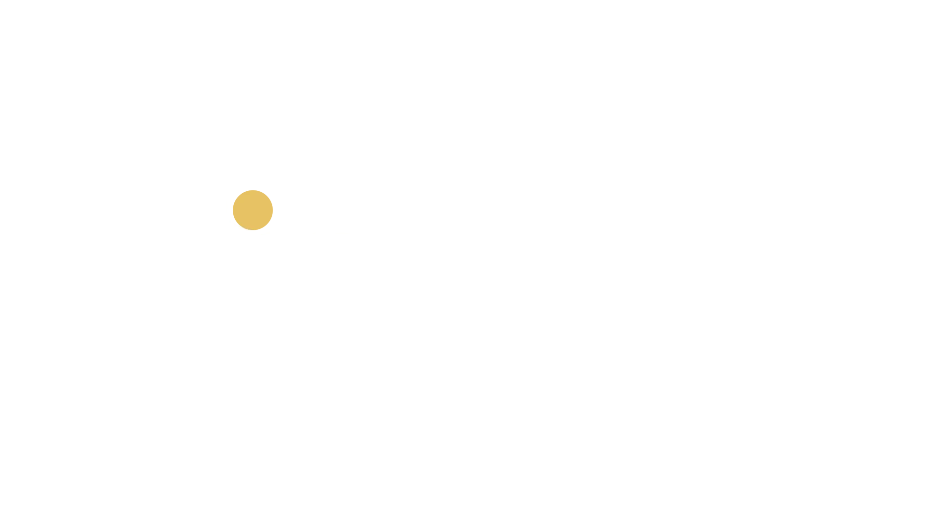 Made in Italy