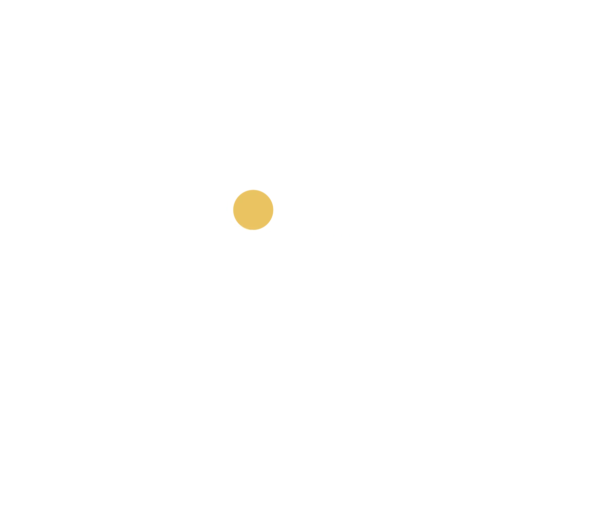 Made in Italy