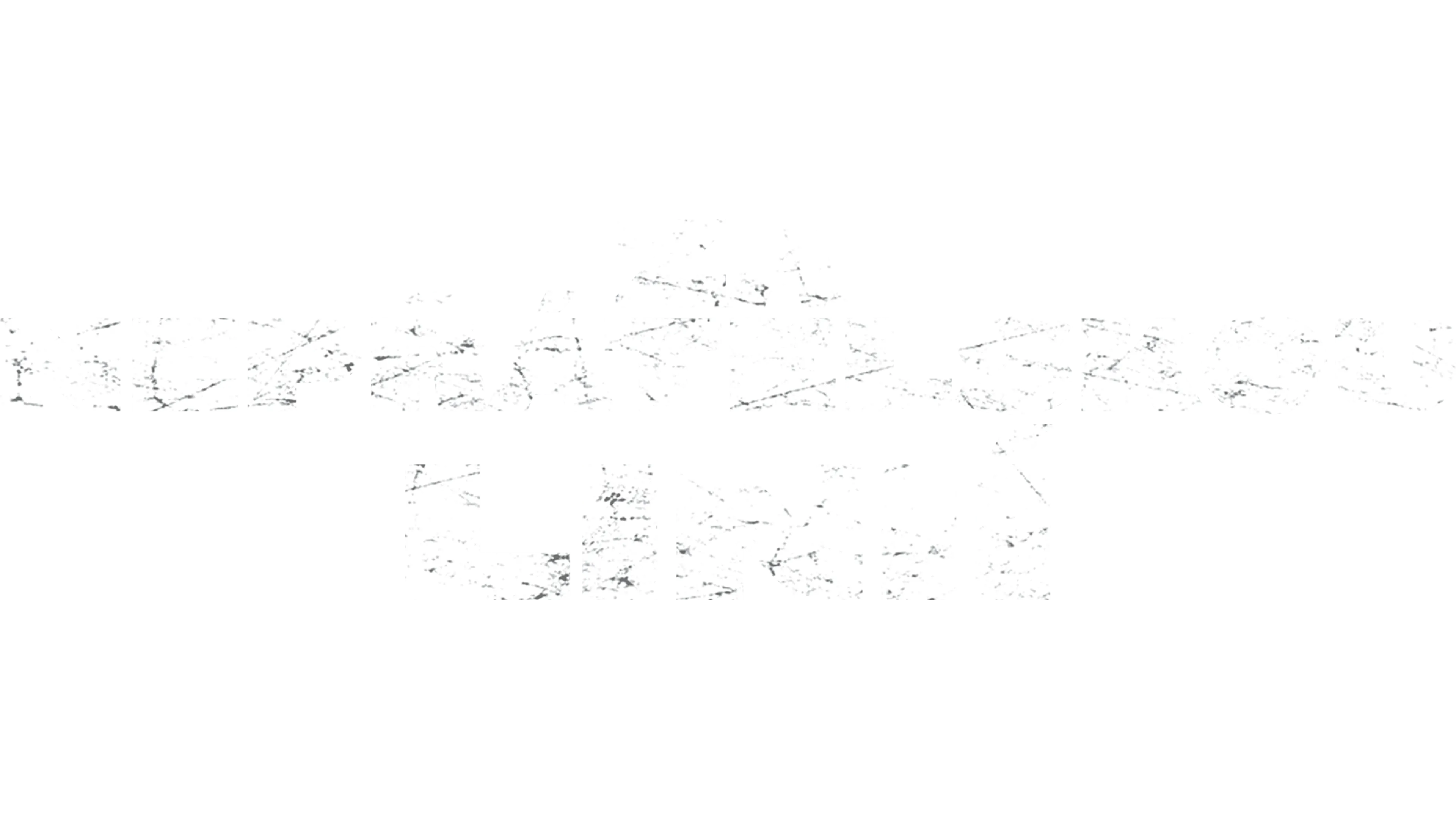 Za nepřátelskou linií
