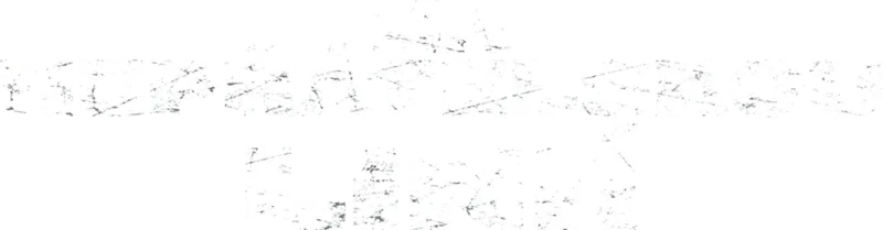 Za nepřátelskou linií