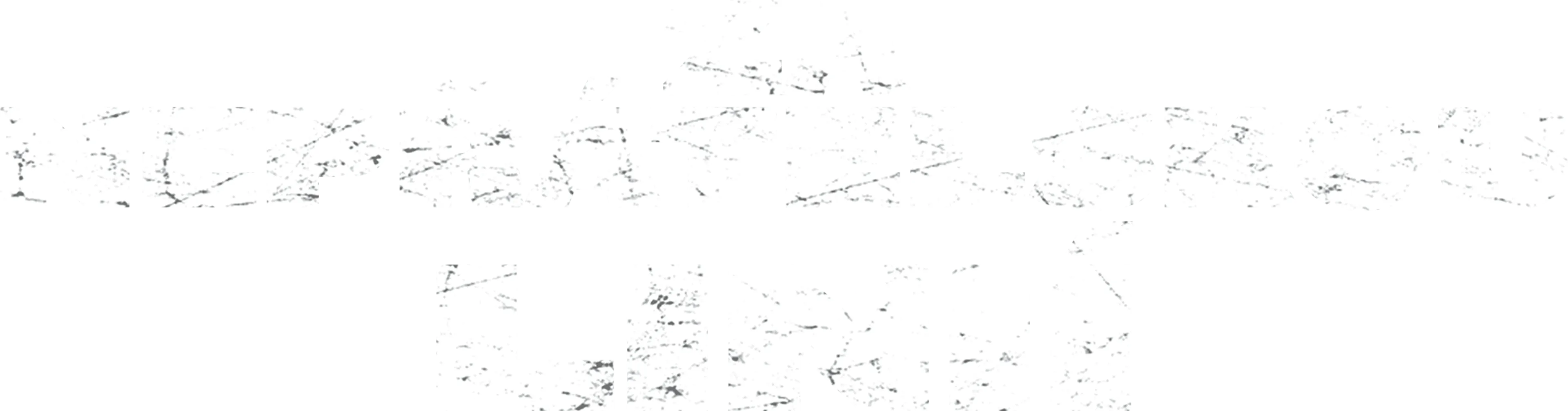 Za nepřátelskou linií