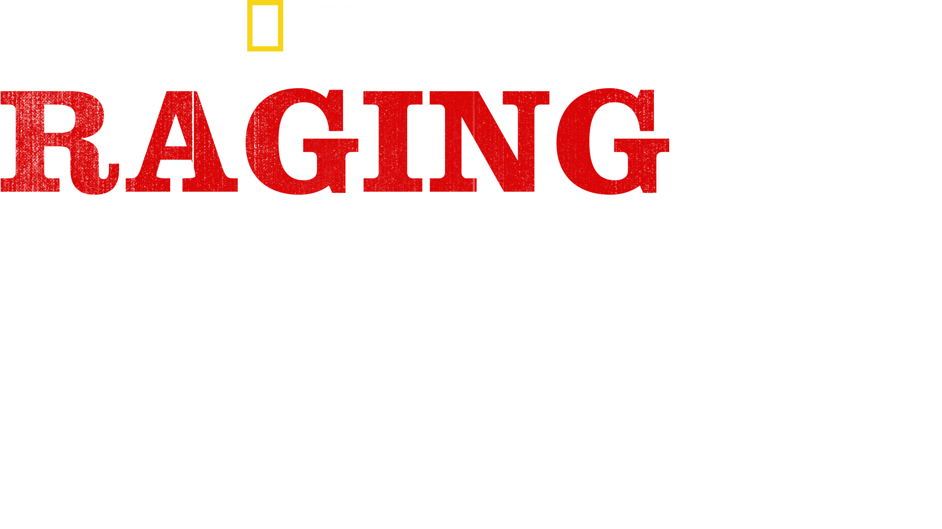 Raging Bullshark