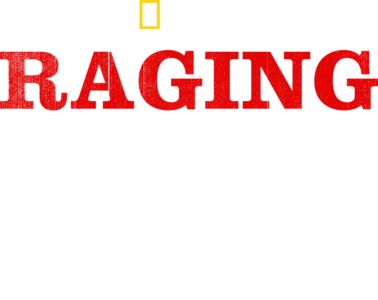 Raging Bullshark