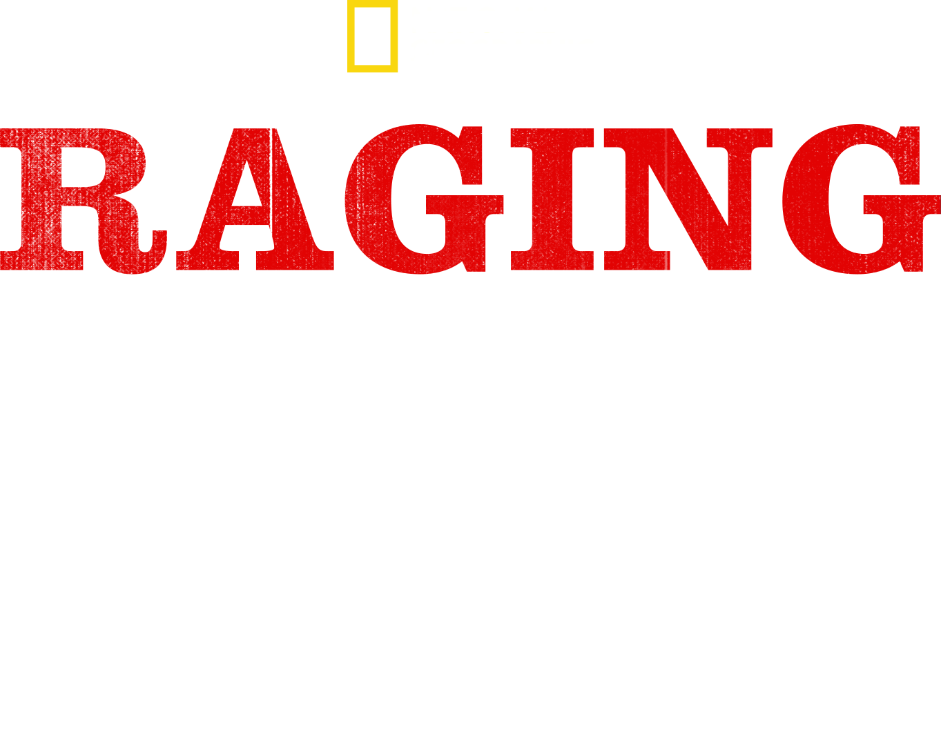 Raging Bullshark