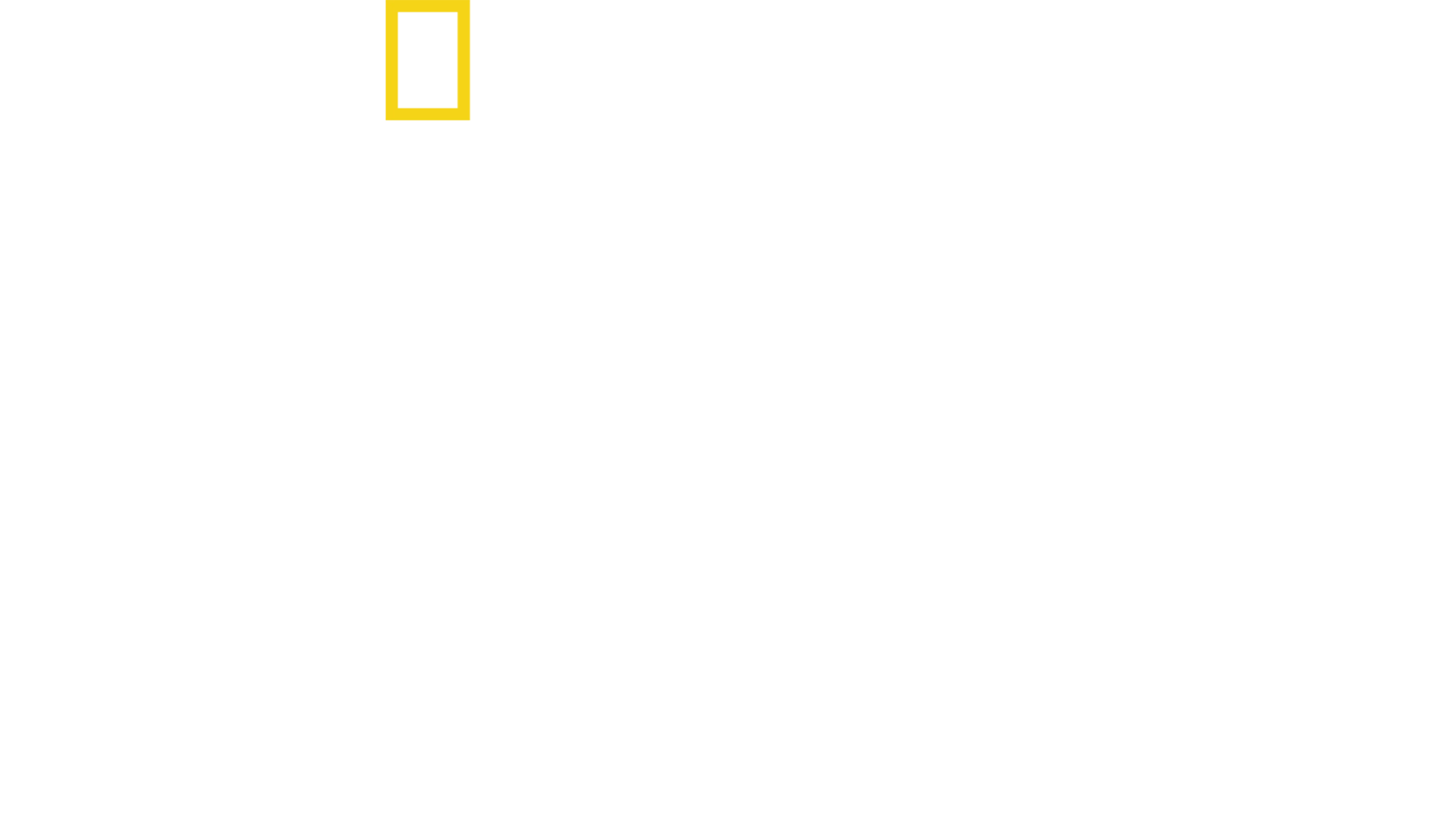 解読！ナスカの地上絵