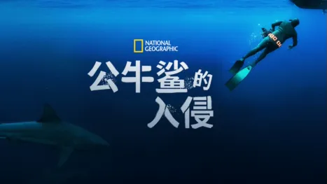thumbnail - 公牛鲨的入侵