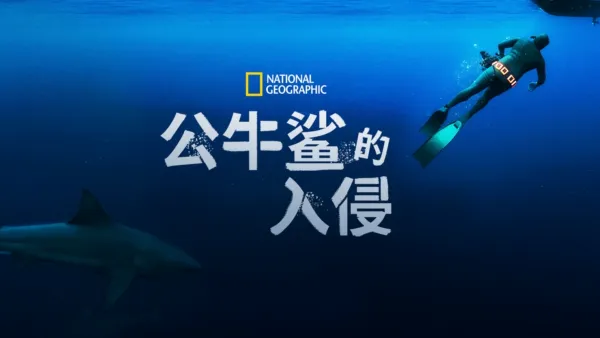 thumbnail - 公牛鲨的入侵