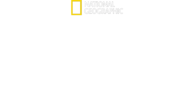 We Feed People: Um Chef Na Primeira Linha