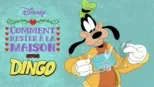 thumbnail - Comment rester à la maison avec Dingo