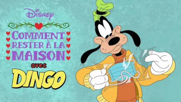 thumbnail - Comment rester à la maison avec Dingo