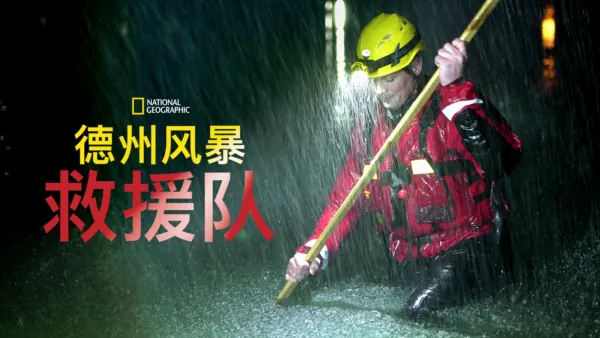 thumbnail - 德州风暴救援队