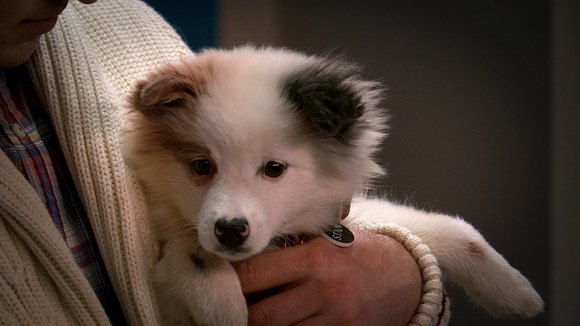 thumbnail - S1:E22 Stan's Old Owner