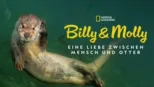thumbnail - Billy & Molly: Eine Liebe zwischen Mensch und Otter