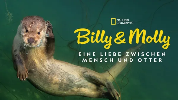 thumbnail - Billy & Molly: Eine Liebe zwischen Mensch und Otter