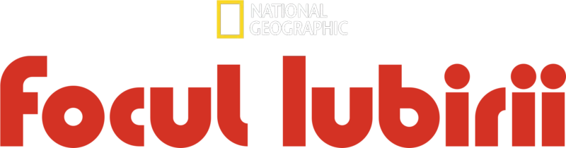 Focul Iubirii