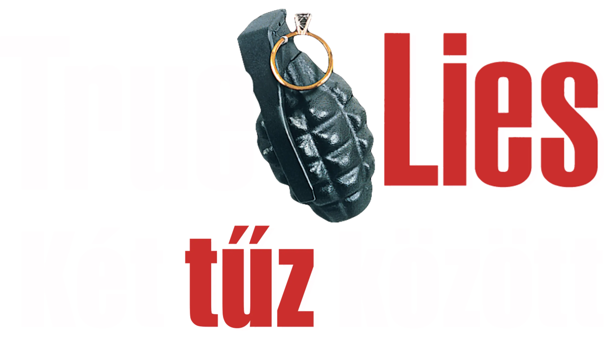 True Lies – Két tűz között