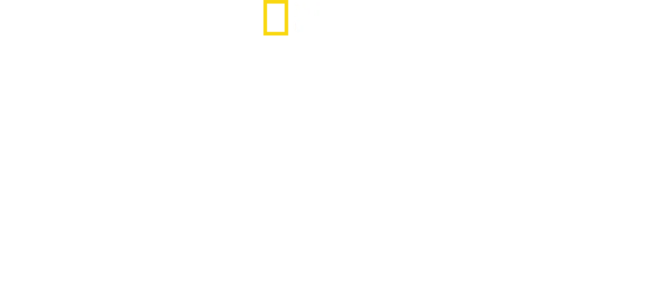 Bobi Wine: el presidente del pueblo