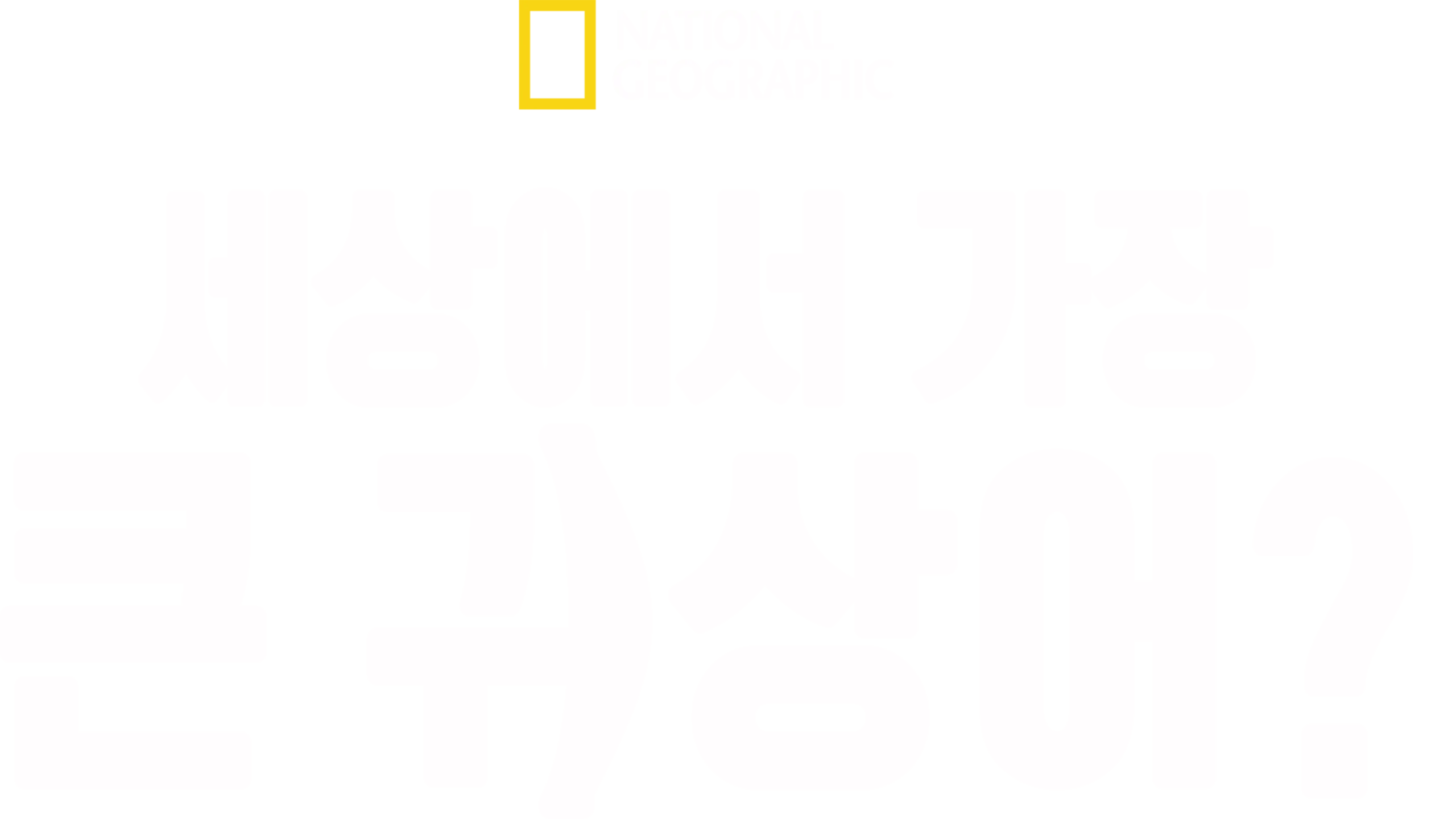 세상에서 가장 큰 귀상어?