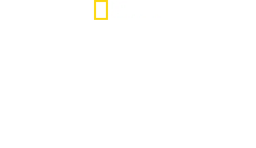 세상에서 가장 큰 귀상어?