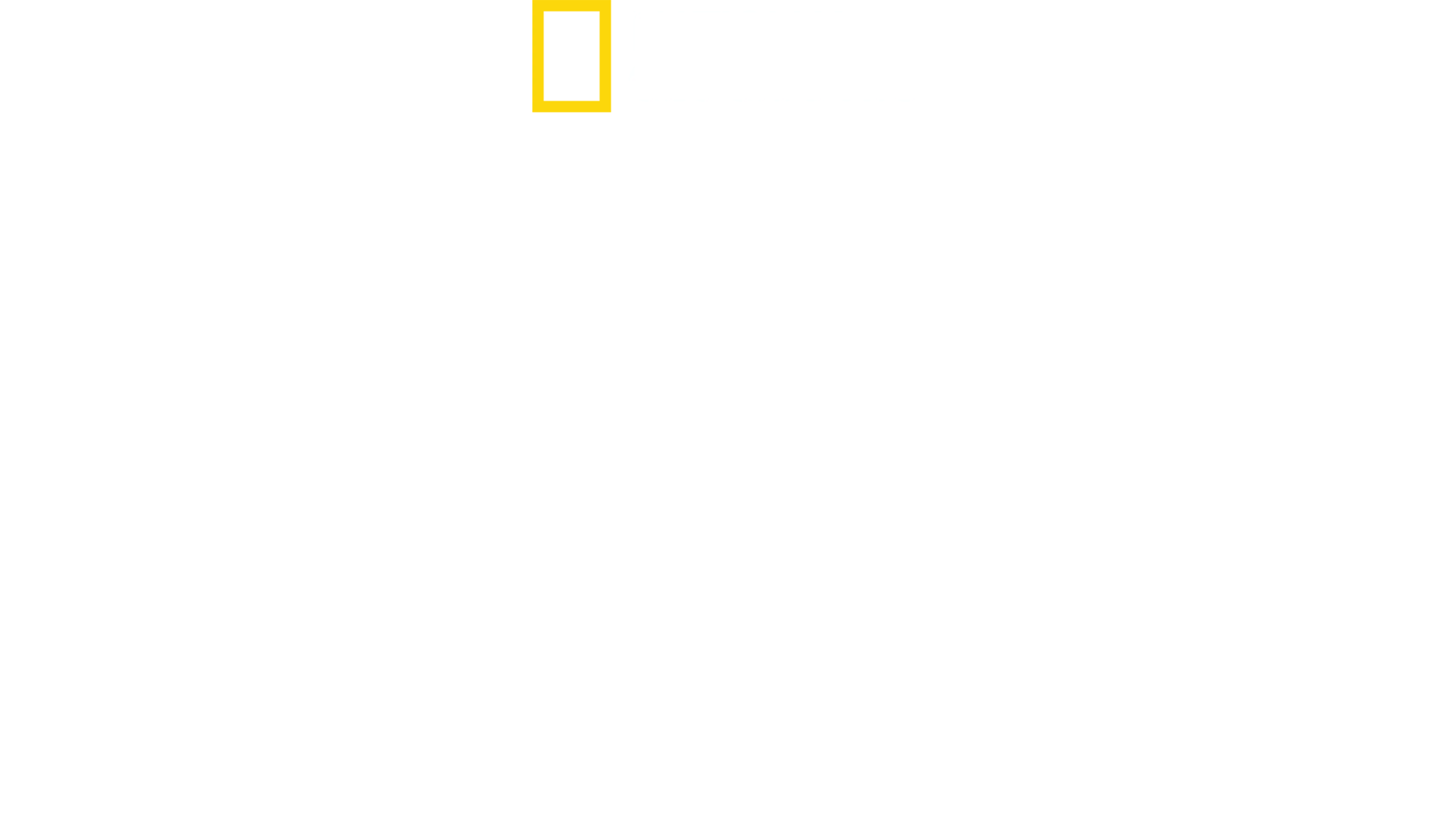 세상에서 가장 큰 귀상어?