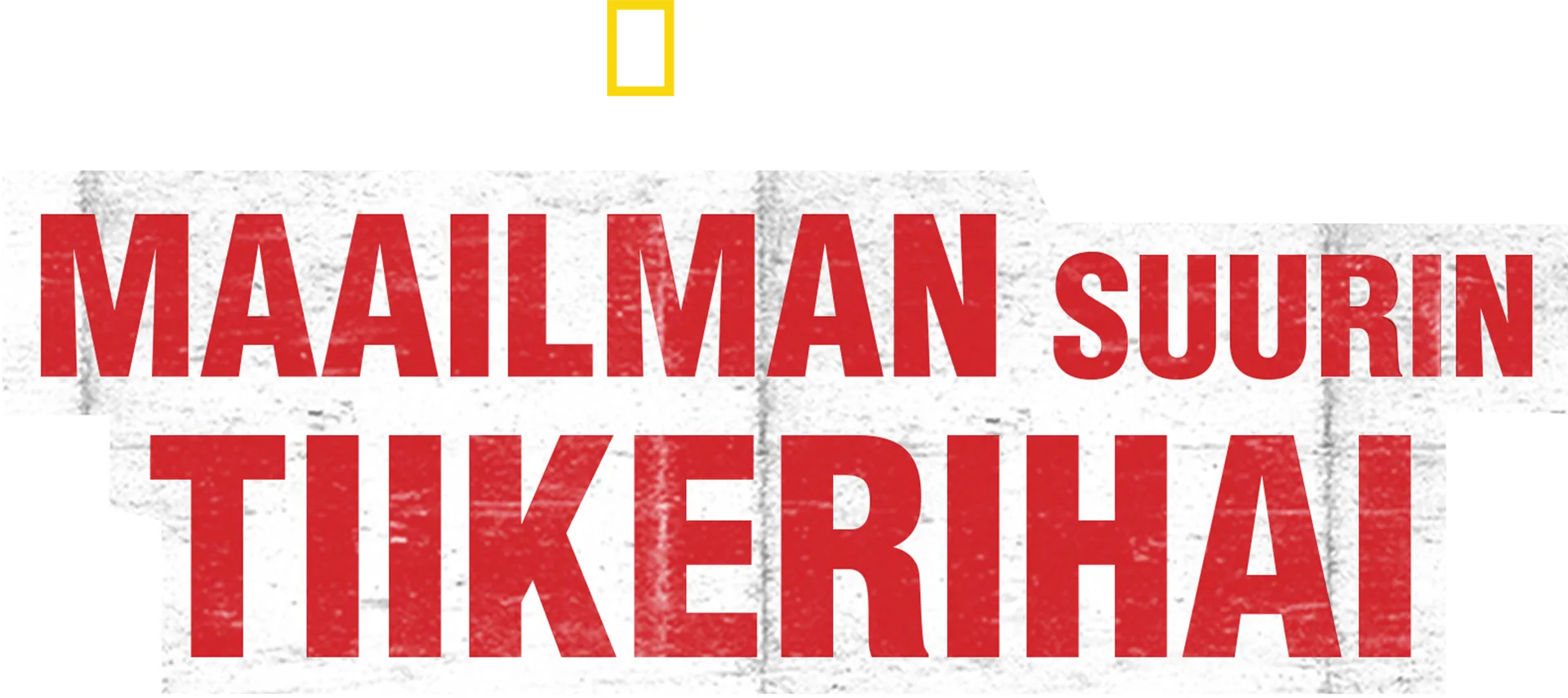 Maailman suurin tiikerihai
