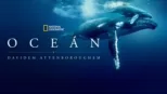 thumbnail - Oceán s Davidem Attenboroughem